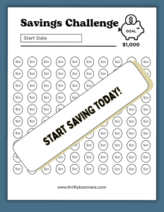 $1,000 Savings Tracker